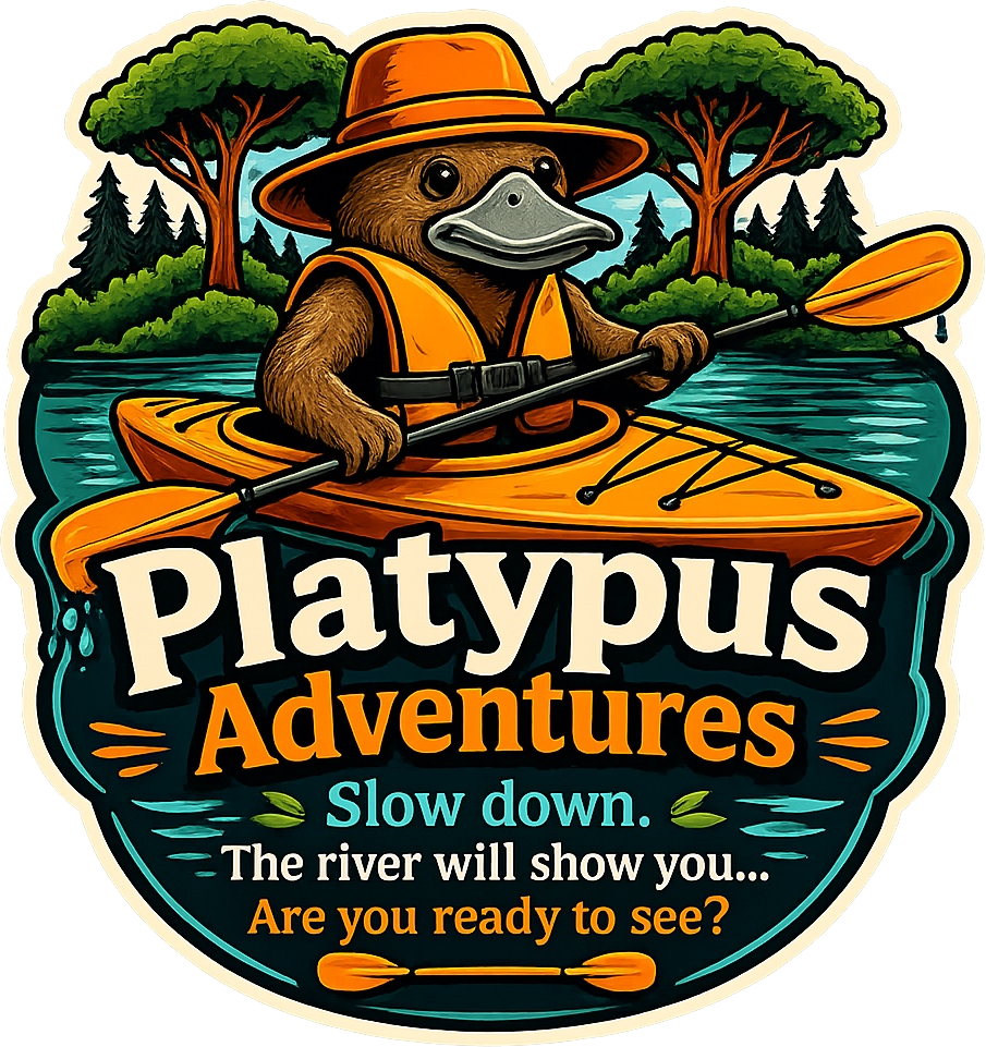 Platypus Adventures